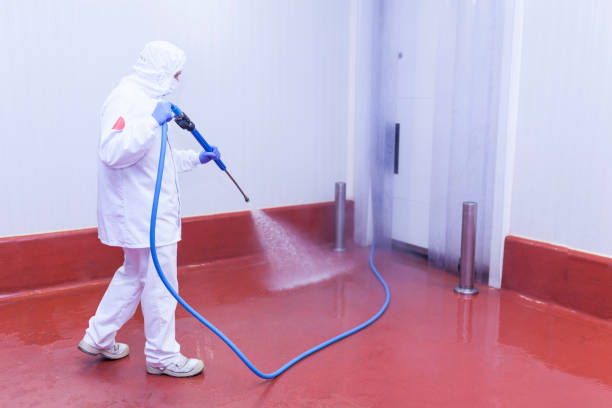 Pre-Holiday Cleaning in Ladera, CA